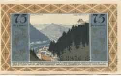 Ziegenrück - Stadt - 1.9.1921 - 75 Pfennig